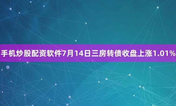 手机炒股配资软件7月14日三房转债收盘上涨1.01%